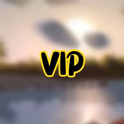 Vip