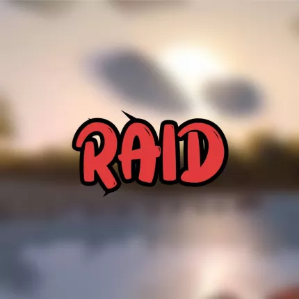 Raid